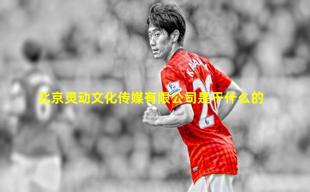北京灵动文化传媒有限公司是干什么的