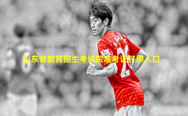 山东省教育招生考试院准考证打印入口