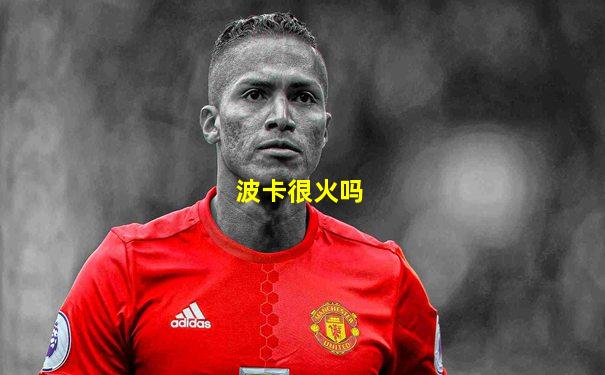 波卡很火吗