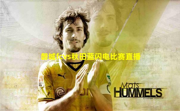 磐城fcvs秋田蓝闪电比赛直播